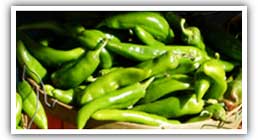 Green Chili Giveaway